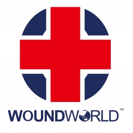 EMPIRICAL STUDIES  Pharmacologic Impact (aka &quot;Breaking Bad&quot;) of Medications on Wound Healing and Wound Development: A Literature-based Overview