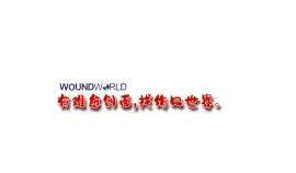 Evaluation of healing outcomes combining a novel  polymer formulation with autologous skin cell  suspension to treat deep partial and full thickness  wounds in a porcine model: a pilot study